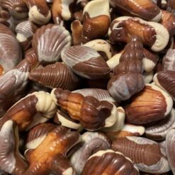 Belgisk Chokolade - Muslingskaller